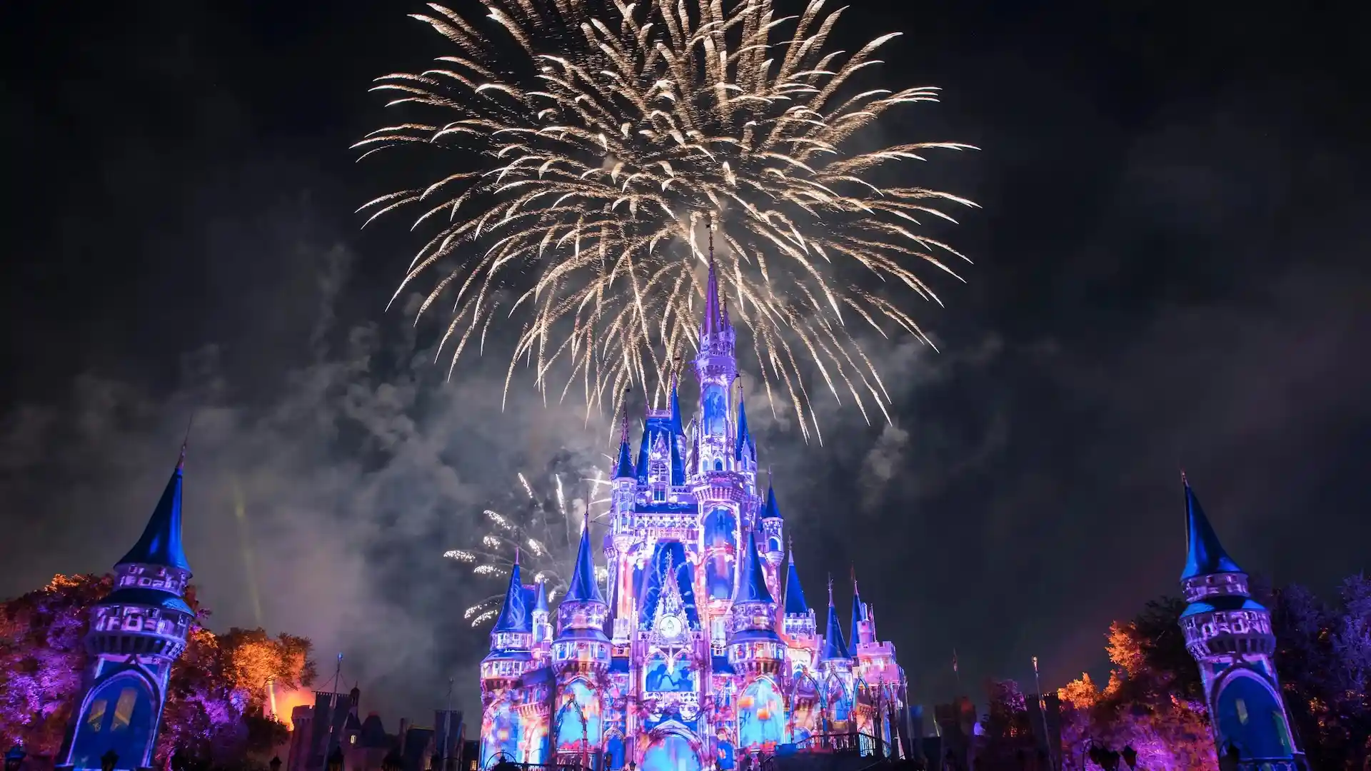 Placeholder image for Magic Kingdom